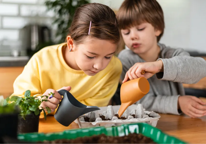 program image mediatech